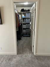 Spacious closet with carpet flooring