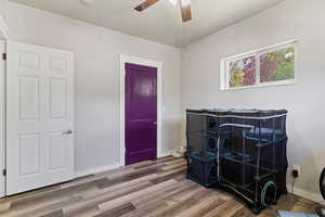Bedroom with baseboards, wood finished floors, and a ceiling fan