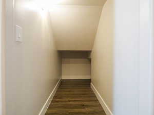 Under stairs storage