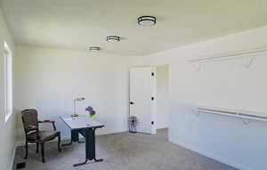 Photo 15 of 4551 S 4875 W
