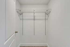 View of walk in closet