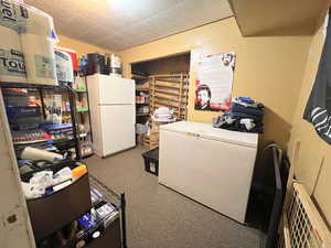 Laundry room with carpet flooring