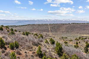 North fence line boundary looking west