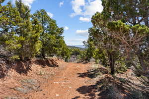 road on east side of the ranch
