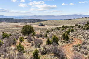Middle ridge road back to house