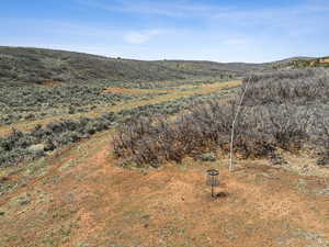 Disc Golf