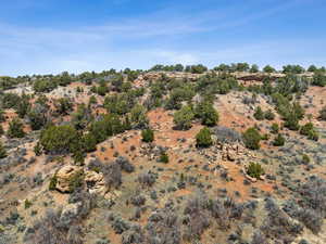 View in canyon 1 of beautiful juniper and red rock