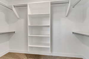 Spacious closet featuring carpet floors