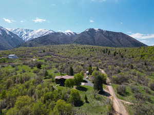 Property view of mountains with a view of trees