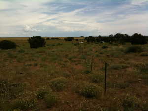 View of local wilderness with rural landscape