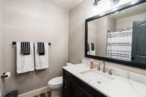 Bathroom with wood finished floors, toilet, a shower with curtain, and vanity