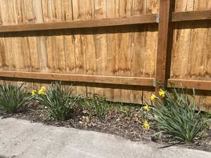 New fence