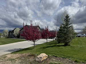 View of home's community featuring a yard