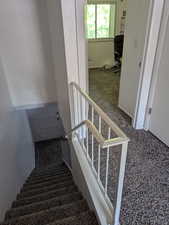 Staircase featuring carpet floors