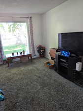 Game room with carpet floors and a textured ceiling
