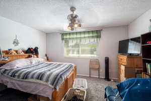 Carpeted bedroom featuring a textured ceiling