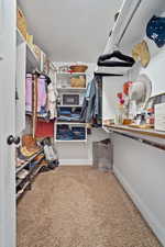 Walk in closet with carpet