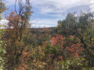 View of nature featuring a wooded view