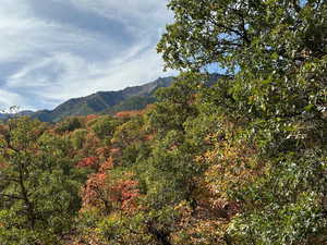 Property view of mountains featuring a wooded view