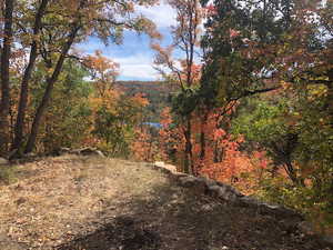 View of nature with a forest view