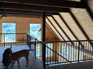 Room details featuring wood ceiling, carpet, ceiling fan, and beamed ceiling