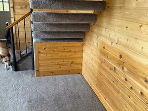 Details featuring wooden walls and carpet flooring