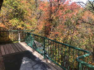 Wooden terrace featuring a wooded view