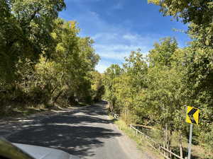 View of street with a view of trees
