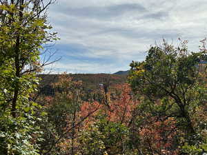 Mountain view featuring a wooded view