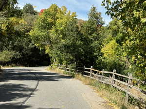 View of street with a forest view