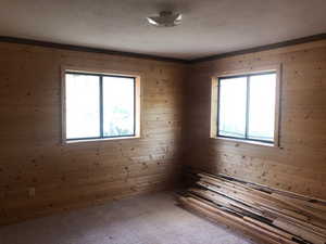 Unfurnished room with wood walls, a wealth of natural light, and carpet