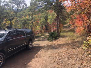View of yard with a wooded view