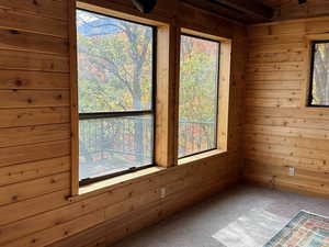 Empty room with wood walls and carpet floors