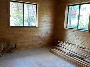 Carpeted empty room featuring wooden walls and a sauna