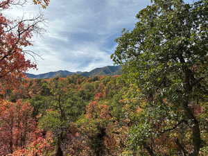 Mountain view with a forest view