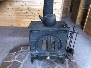 Interior details featuring wood walls, a wood stove, and carpet floors
