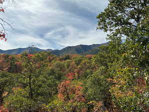 Property view of mountains featuring a view of trees