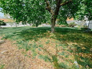 View of yard featuring fence
