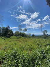 View of nature