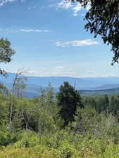 Property view of mountains featuring a view of trees