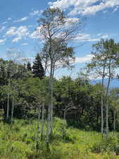View of nature featuring a wooded view