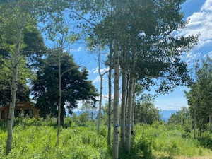 View of landscape