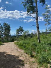 View of nature