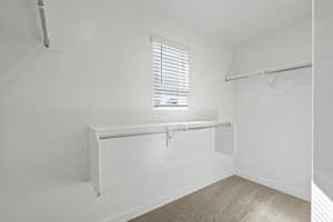 Spacious closet with carpet