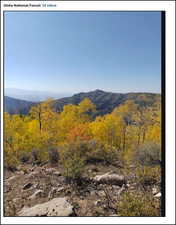 Property view of mountains with a wooded view