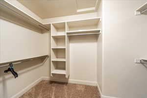 Walk in closet with carpet flooring