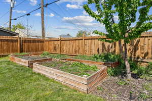 View of yard with a fenced backyard and a vegetable garden
