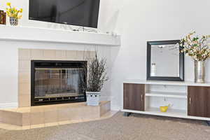 Room details featuring a fireplace