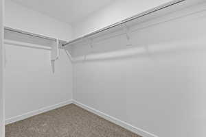 Spacious closet featuring carpet floors