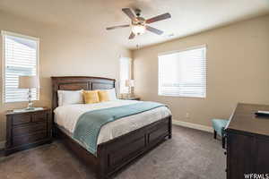 Bedroom with dark colored carpet, multiple windows, visible vents, and baseboards